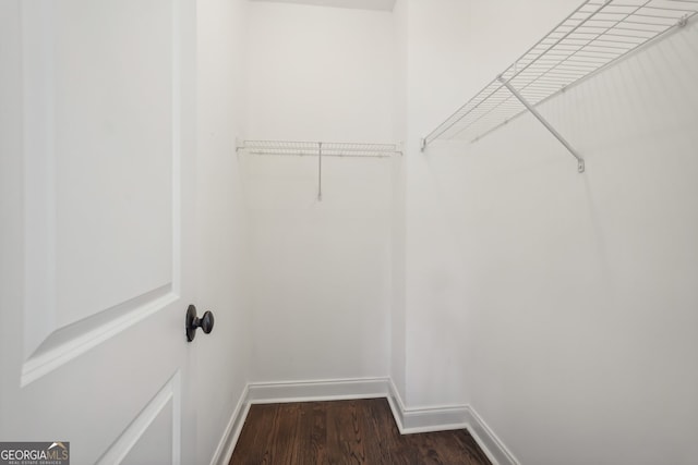 walk in closet featuring dark wood-type flooring