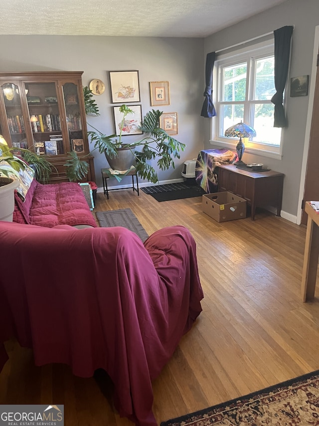 living room with hardwood / wood-style floors and a textured ceiling