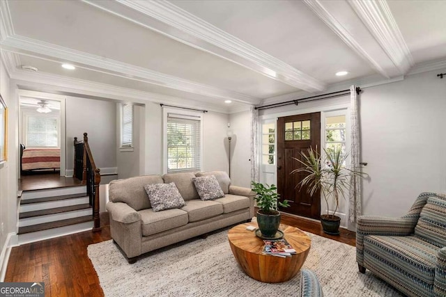 living room featuring beam ceiling, dark wood-type flooring, crown molding, and ceiling fan