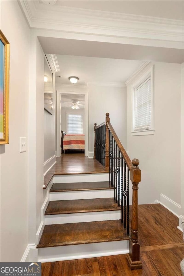 stairs featuring wood finished floors, crown molding, baseboards, and ceiling fan