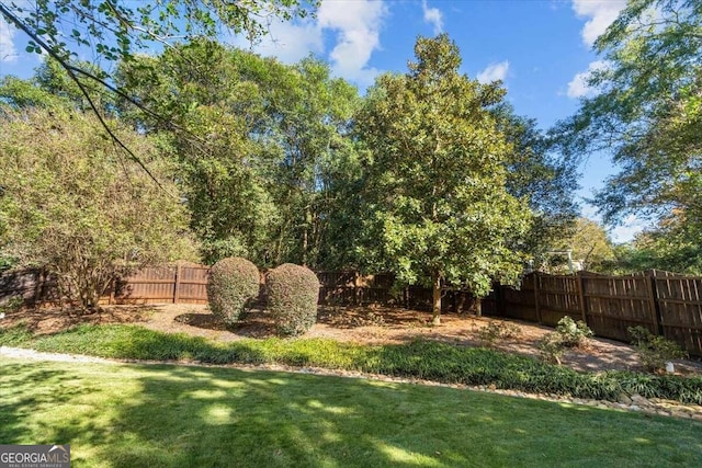 view of yard featuring a fenced backyard