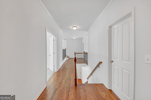 hall with wood-type flooring and ornamental molding