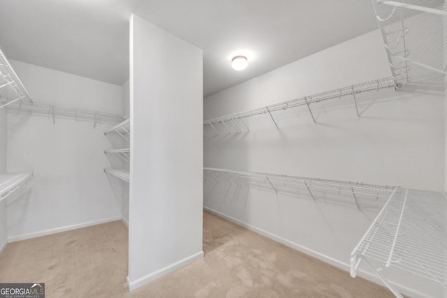 walk in closet featuring light carpet