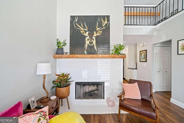 living room featuring dark wood-type flooring and a fireplace