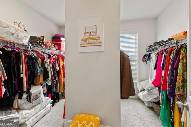 walk in closet featuring carpet floors