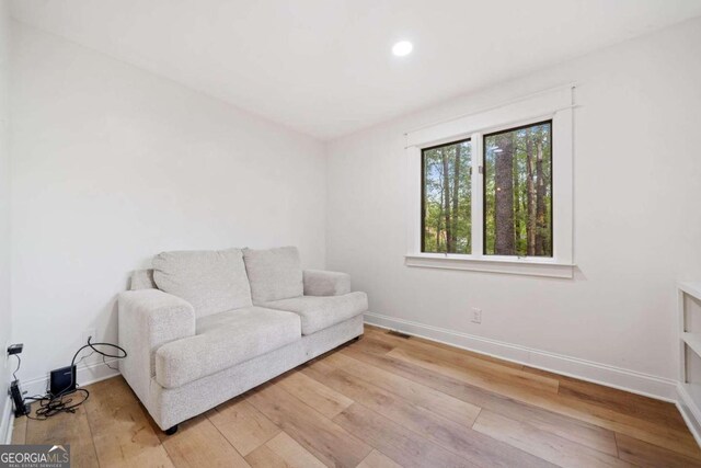 living room with wood-type flooring