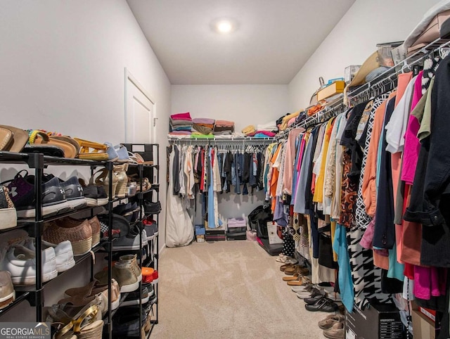 spacious closet featuring carpet flooring