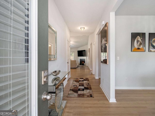 hall featuring light hardwood / wood-style floors