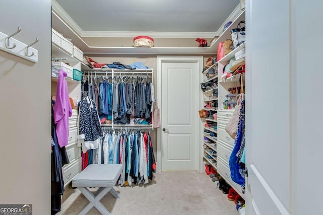 walk in closet featuring carpet