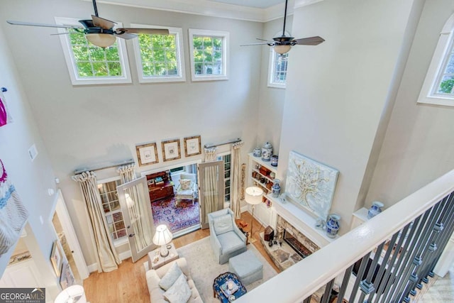 living room featuring crown molding, light hardwood / wood-style floors, and ceiling fan