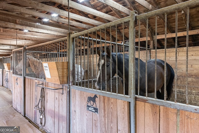 view of stable