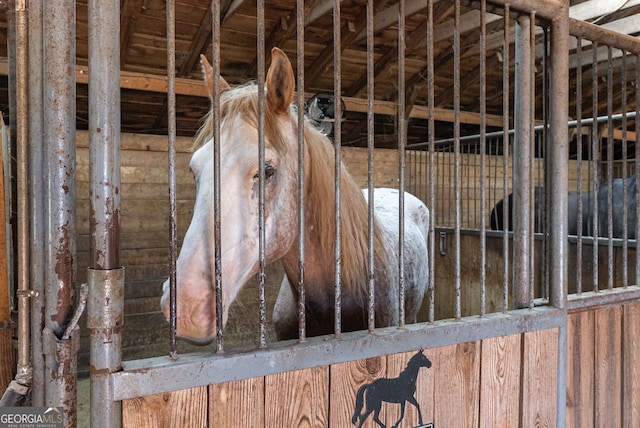 view of stable