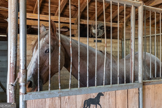 view of stable