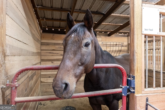 view of horse barn