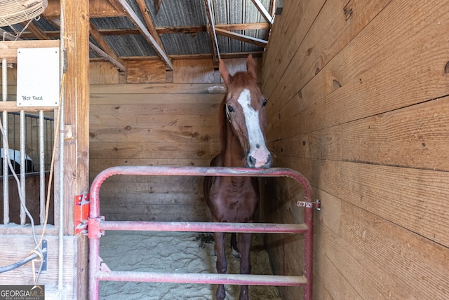 view of horse barn