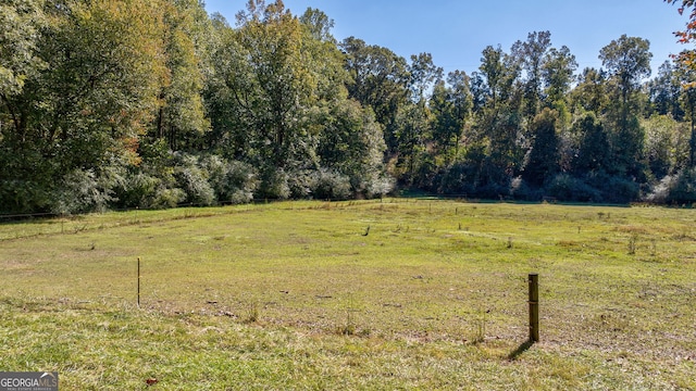 view of yard with a rural view