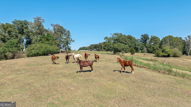 view of yard with a rural view