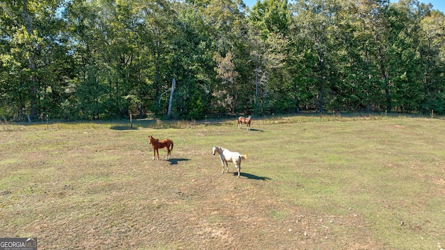 view of yard featuring a rural view