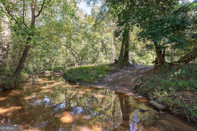 view of landscape featuring a water view