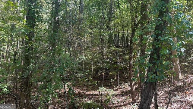 45 Ayers Rock Rd, Jasper, GA 30143