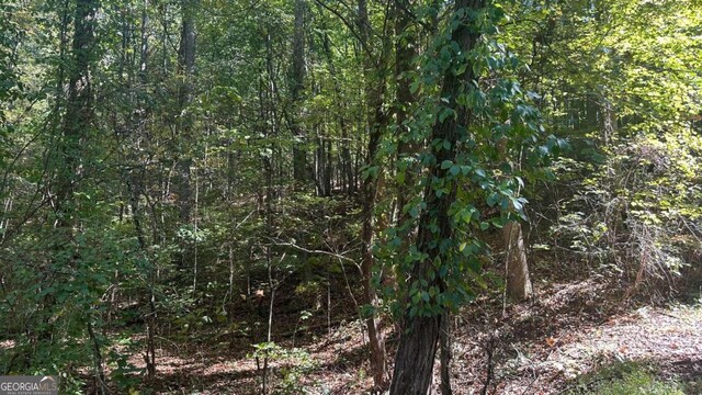 45 Ayers Rock Rd, Jasper, GA 30143