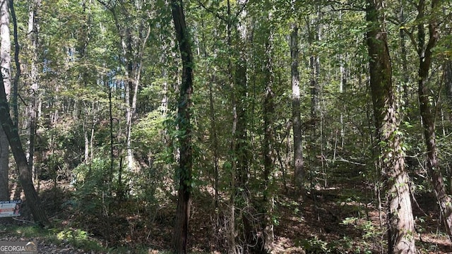 45 Ayers Rock Rd, Jasper, GA 30143