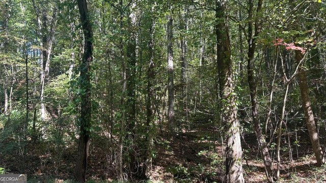 45 Ayers Rock Rd, Jasper, GA 30143