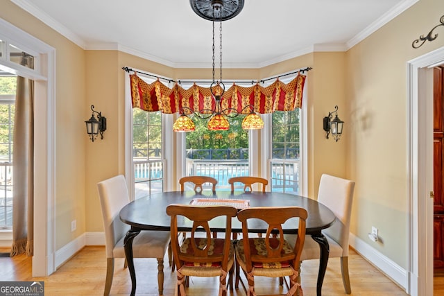 dining area with light hardwood / wood-style flooring and crown molding