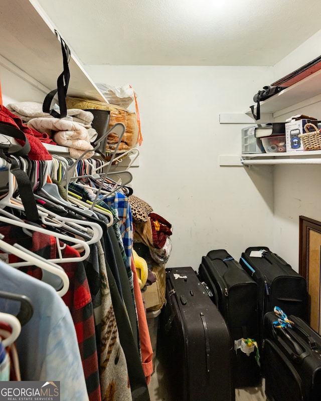 view of walk in closet