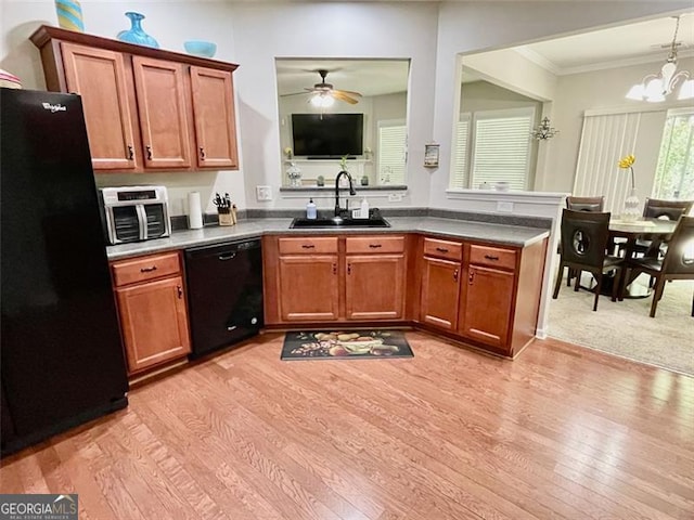 kitchen with light hardwood / wood-style flooring, black appliances, sink, and ornamental molding