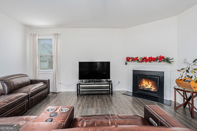 living room featuring wood-type flooring