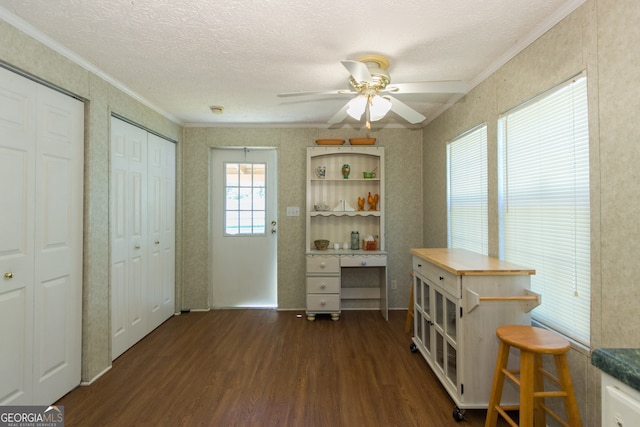 office featuring crown molding, dark hardwood / wood-style floors, a textured ceiling, and ceiling fan