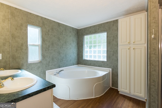 bathroom featuring a tub, wood-type flooring, and a wealth of natural light