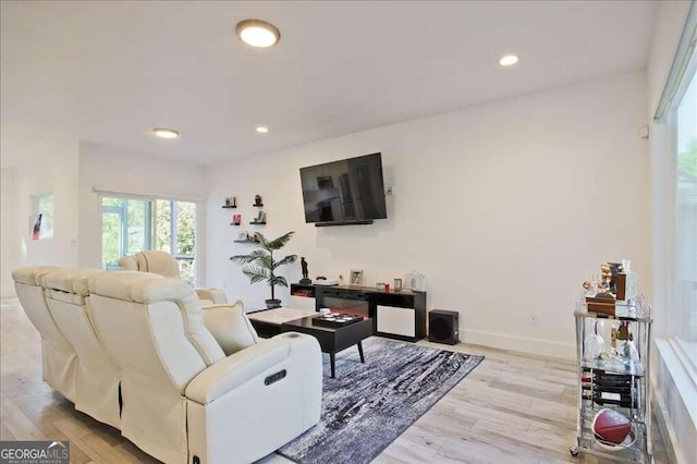 living room featuring light wood-type flooring