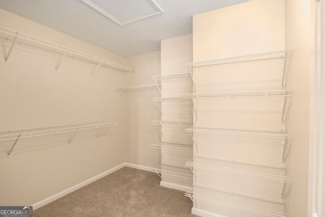 spacious closet with carpet