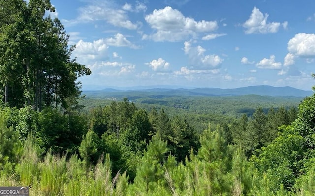 Listing photo 2 for LOT251 Ridge Pointe Way, Blairsville GA 30512