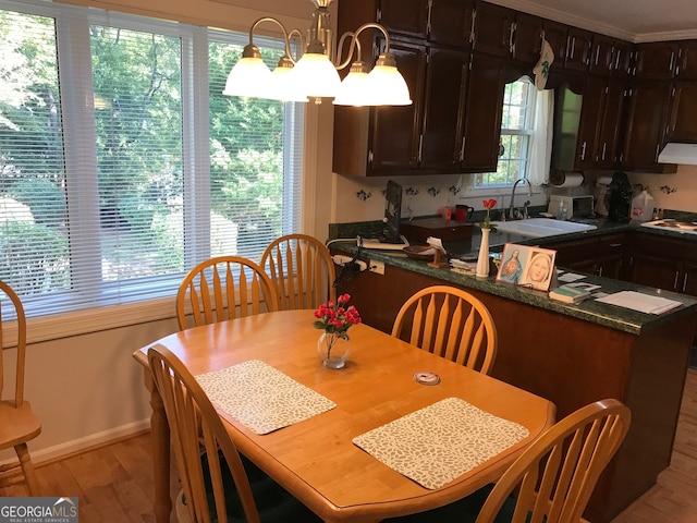 dining room with a chandelier, sink, crown molding, and light wood-type flooring