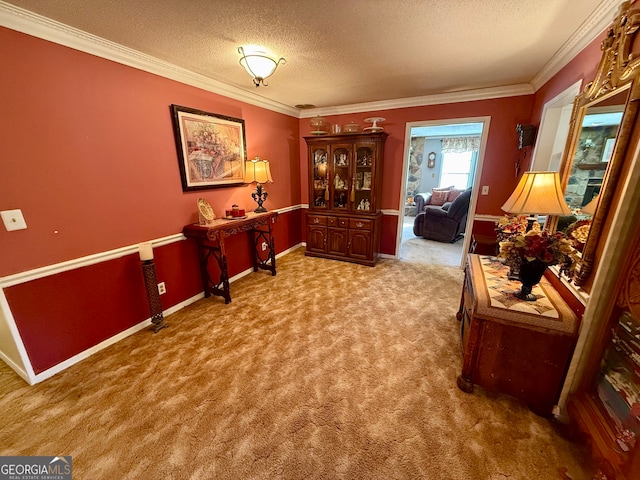 living area featuring a textured ceiling, carpet floors, and ornamental molding