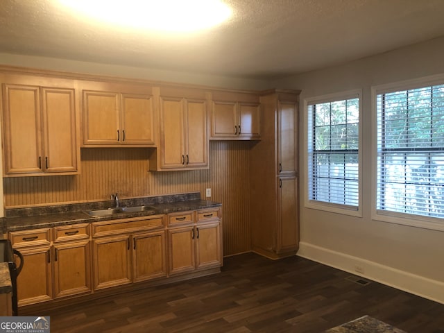 kitchen with dark wood-type flooring and sink