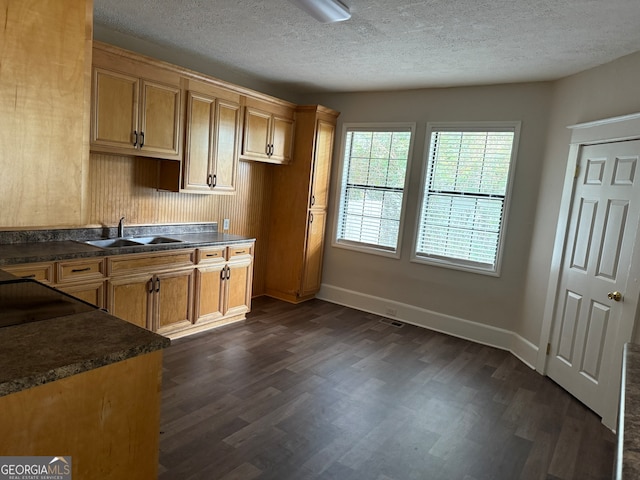 kitchen with sink, dark hardwood / wood-style floors, and a textured ceiling