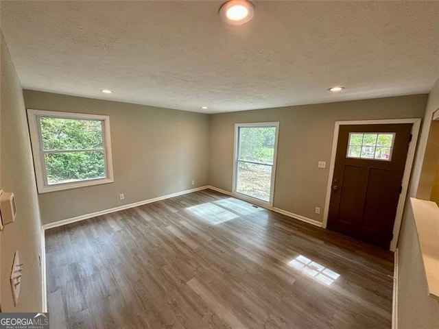 foyer entrance featuring a textured ceiling, dark hardwood / wood-style floors, and a healthy amount of sunlight