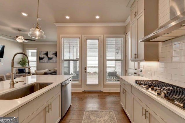 kitchen with wall chimney exhaust hood, ornamental molding, stainless steel appliances, and a sink