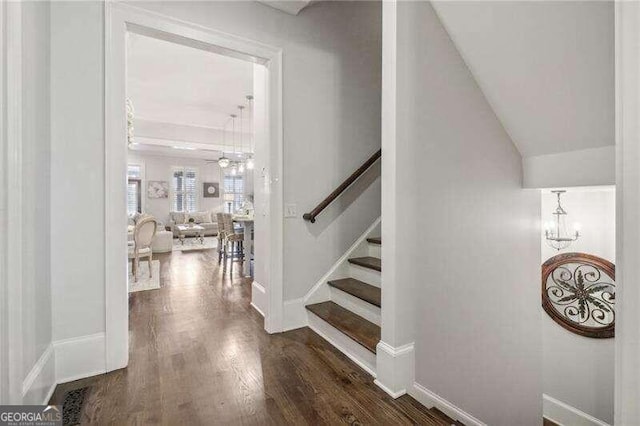 stairway featuring hardwood / wood-style floors and ceiling fan