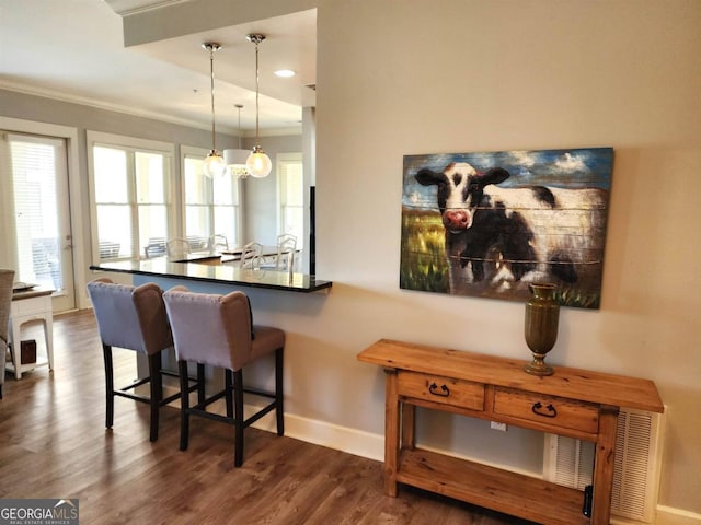 interior space with crown molding and dark hardwood / wood-style flooring