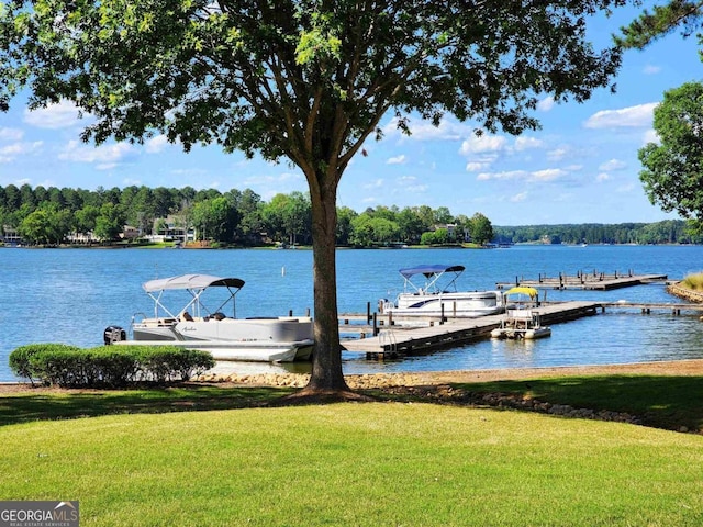 dock area with a water view and a lawn