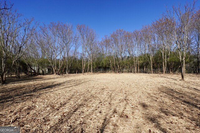 view of local wilderness