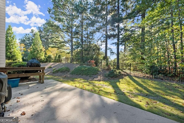 view of yard featuring a patio