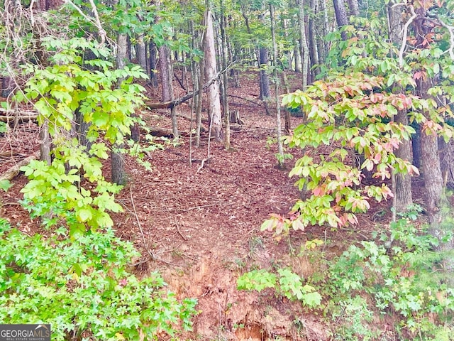 12 Cherokee Dr, Ellijay, GA 30540