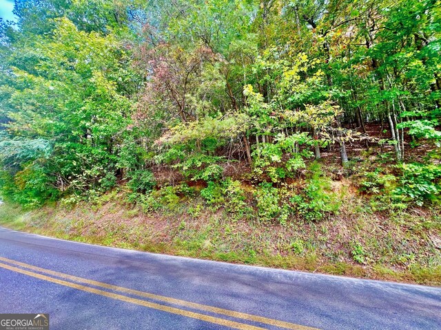 12 Cherokee Dr, Ellijay, GA 30540