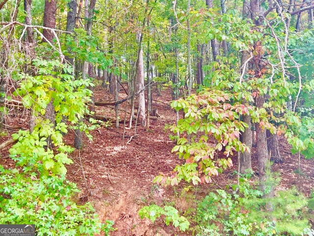 12 Cherokee Dr, Ellijay, GA 30540